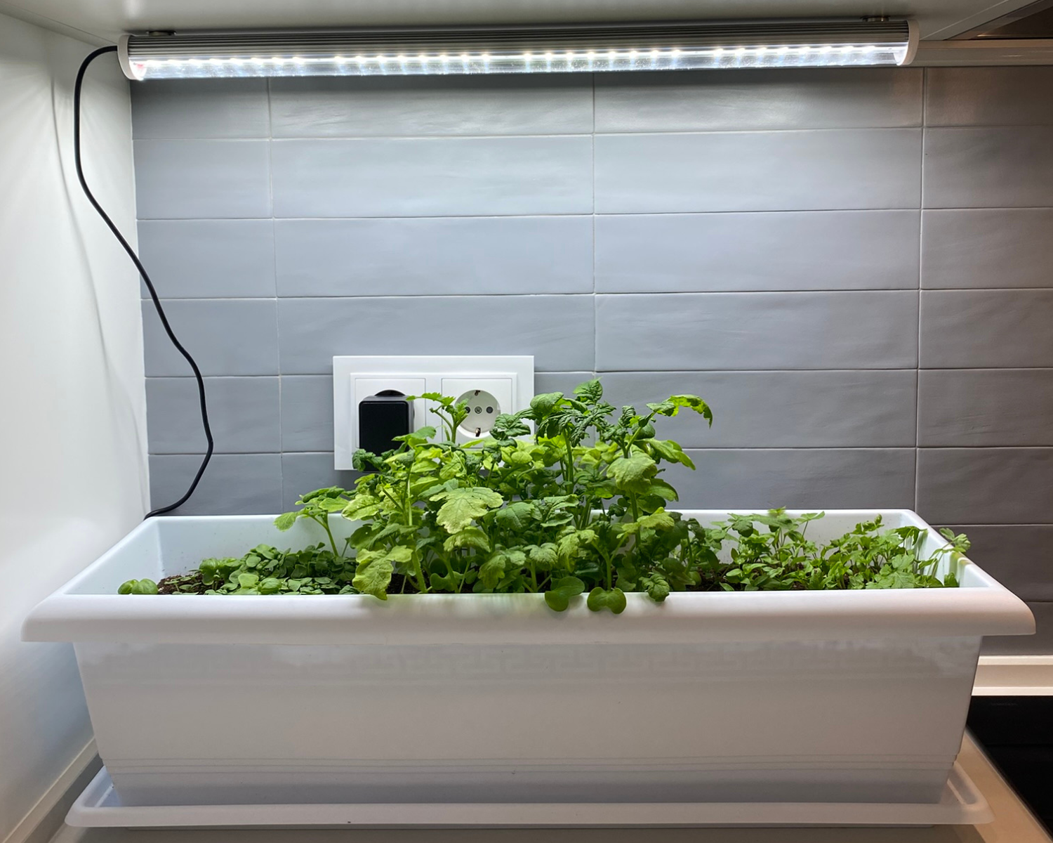 Meliflor TLed Kitchengrow 26W 6600K + Imanes + Temporizador + Brillo